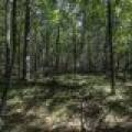 Lots 1-8 Pine Cone Lane, , Woodruff,  WI 54568 United States