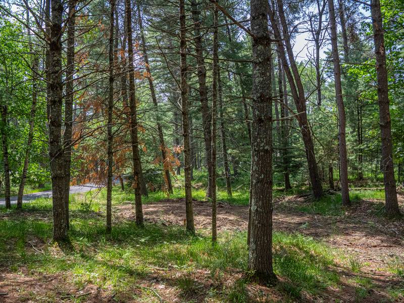 Sunrise Ln, , St. Germain,  WI 54558 United States