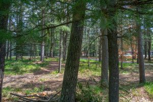 Sunrise Ln, , St. Germain,  WI 54558 United States