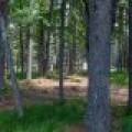 Sunrise Ln, , St. Germain,  WI 54558 United States