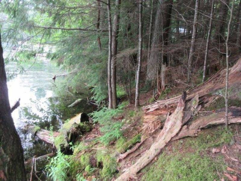 Lots 1 & 2 Arbor Ln, , Lac du Flambeau,  WI 54538 United States