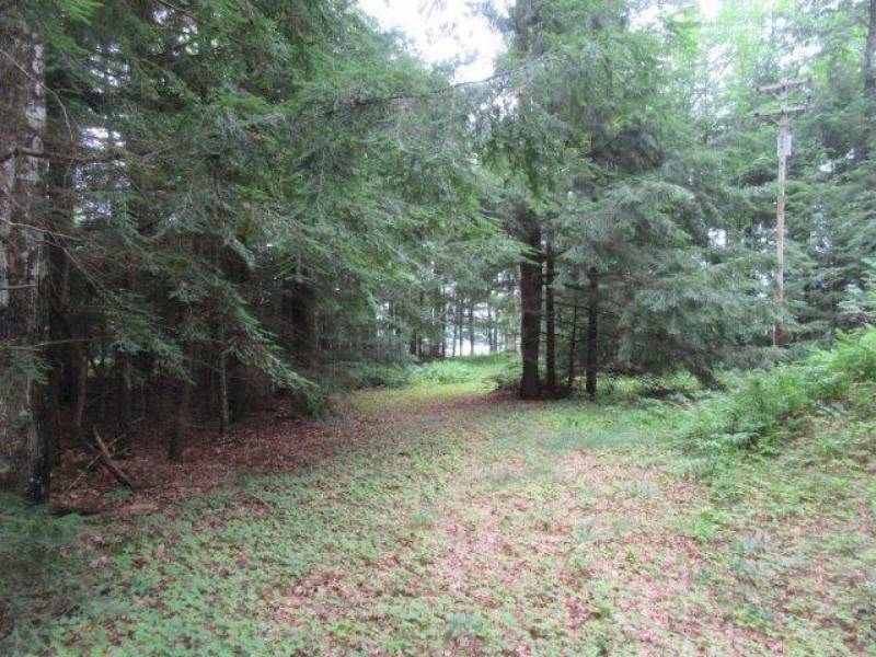 Lots 1 & 2 Arbor Ln, , Lac du Flambeau,  WI 54538 United States