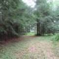 Lots 1 & 2 Arbor Ln, , Lac du Flambeau,  WI 54538 United States