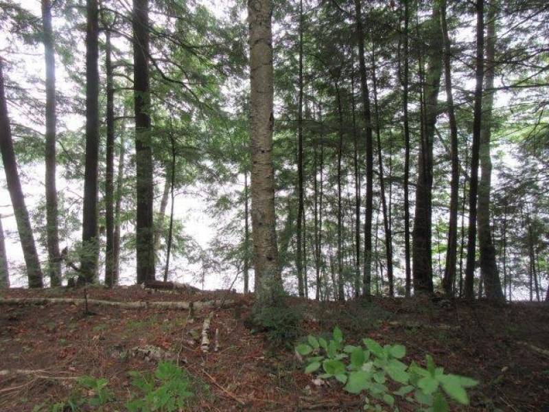 Lots 1 & 2 Arbor Ln, , Lac du Flambeau,  WI 54538 United States