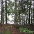 Lots 1 & 2 Arbor Ln, , Lac du Flambeau,  WI 54538 United States
