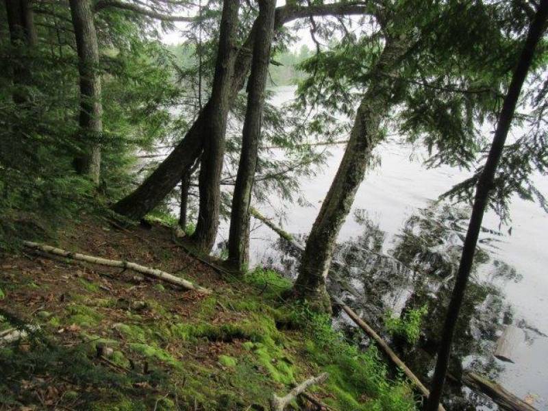 Lots 1 & 2 Arbor Ln, , Lac du Flambeau,  WI 54538 United States