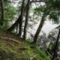 Lots 1 & 2 Arbor Ln, , Lac du Flambeau,  WI 54538 United States
