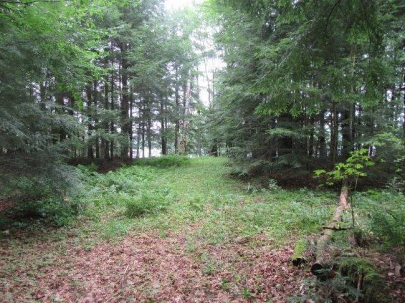 Lots 1 & 2 Arbor Ln, , Lac du Flambeau,  WI 54538 United States