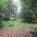 Lots 1 & 2 Arbor Ln, , Lac du Flambeau,  WI 54538 United States