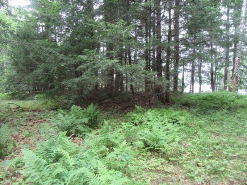 Lots 1 & 2 Arbor Ln, , Lac du Flambeau,  WI 54538 United States