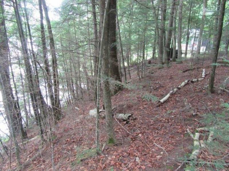 Lots 1 & 2 Arbor Ln, , Lac du Flambeau,  WI 54538 United States