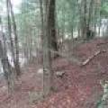 Lots 1 & 2 Arbor Ln, , Lac du Flambeau,  WI 54538 United States