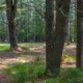 Sunrise Ln, , St. Germain,  WI 54558 United States