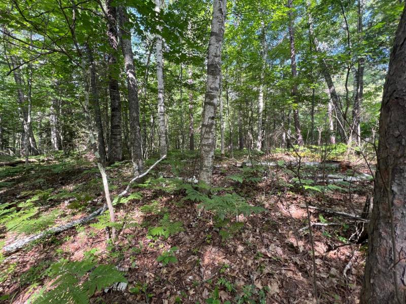Off Brook Trl, , Eagle River,  WI 54521 United States