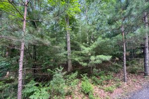 Off Brook Trl, , Eagle River,  WI 54521 United States