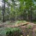 Off Brook Trl, , Eagle River,  WI 54521 United States