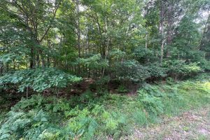 Off Brook Trl, , Eagle River,  WI 54521 United States
