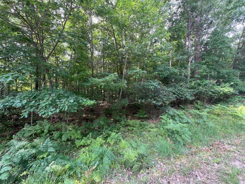 Off Brook Trl, , Eagle River,  WI 54521 United States