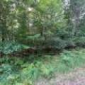 Off Brook Trl, , Eagle River,  WI 54521 United States