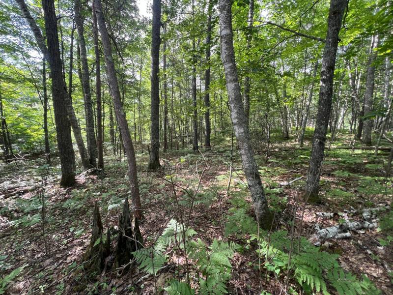 Off Brook Trl, , Eagle River,  WI 54521 United States