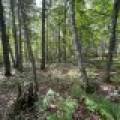 Off Brook Trl, , Eagle River,  WI 54521 United States