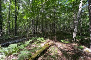 Off Brook Trl, , Eagle River,  WI 54521 United States