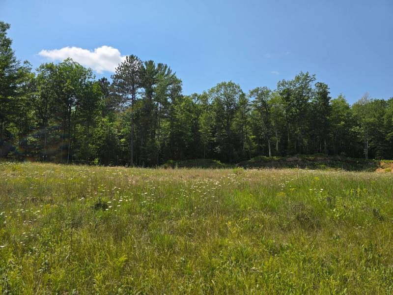 Off Hwy 51, , Arbor Vitae,  WI 54568 United States