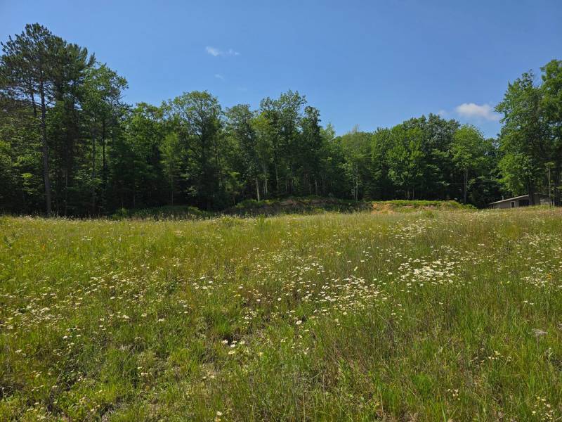 Off Hwy 51, , Arbor Vitae,  WI 54568 United States