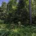 PCL 31 Mallard Landing Rd, , Presque Isle,  WI 54557 United States
