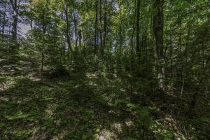 PCL 31 Mallard Landing Rd, , Presque Isle,  WI 54557 United States