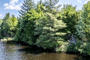 8767 Setting Sun Blvd, , Minocqua,  WI 54538 United States