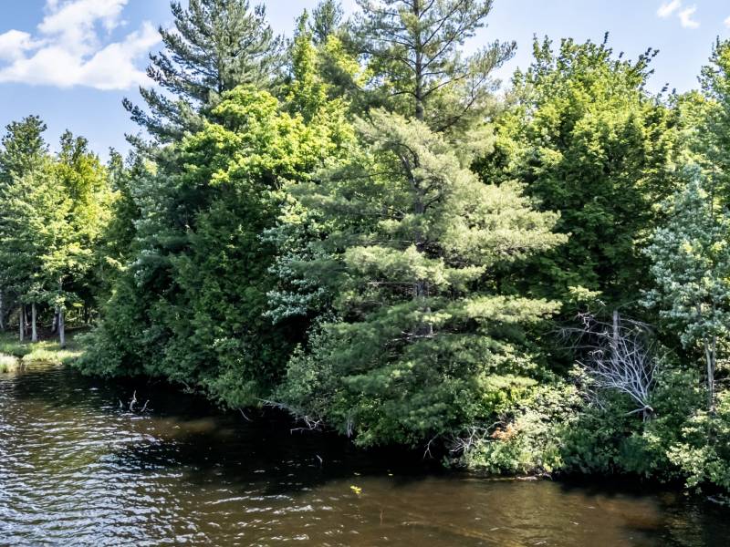 8767 Setting Sun Blvd, , Minocqua,  WI 54538 United States