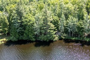 8767 Setting Sun Blvd, , Minocqua,  WI 54538 United States