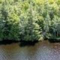 8767 Setting Sun Blvd, , Minocqua,  WI 54538 United States