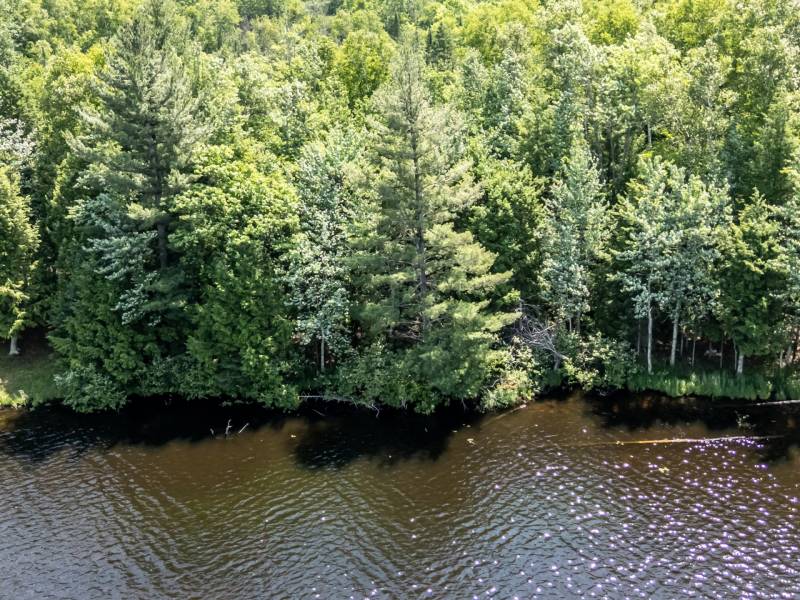 8767 Setting Sun Blvd, , Minocqua,  WI 54538 United States