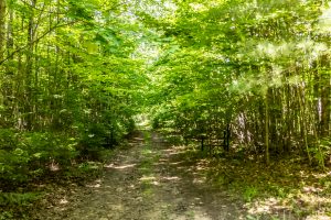 8767 Setting Sun Blvd, , Minocqua,  WI 54538 United States