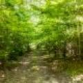 8767 Setting Sun Blvd, , Minocqua,  WI 54538 United States