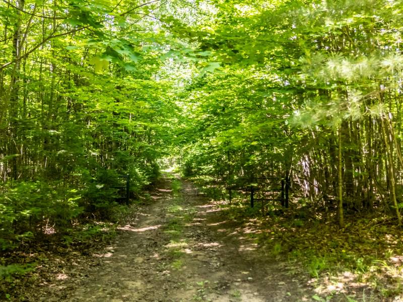 8767 Setting Sun Blvd, , Minocqua,  WI 54538 United States