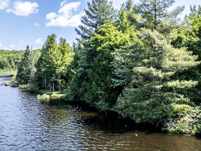 8767 Setting Sun Blvd, , Minocqua,  WI 54538 United States
