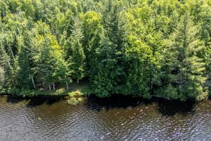 8767 Setting Sun Blvd, , Minocqua,  WI 54538 United States