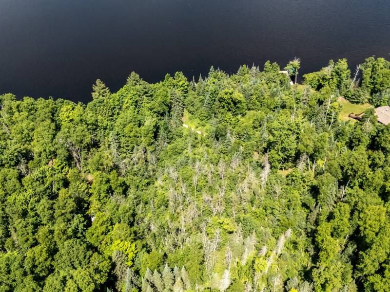 8767 Setting Sun Blvd, , Minocqua,  WI 54538 United States