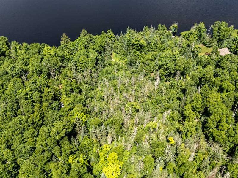 8767 Setting Sun Blvd, , Minocqua,  WI 54538 United States