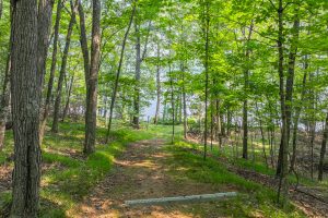 3241 Tijan Ln, , Eagle River,  WI 54521 United States