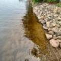 10746 Pat Phalen Rd, , Nashville,  WI 54520 United States