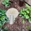 10746 Pat Phalen Rd, , Nashville,  WI 54520 United States