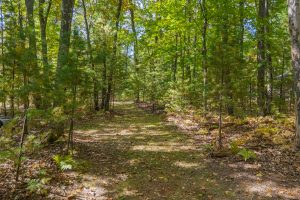 1140 Halberstadt Rd, , St. Germain,  WI 54558 United States