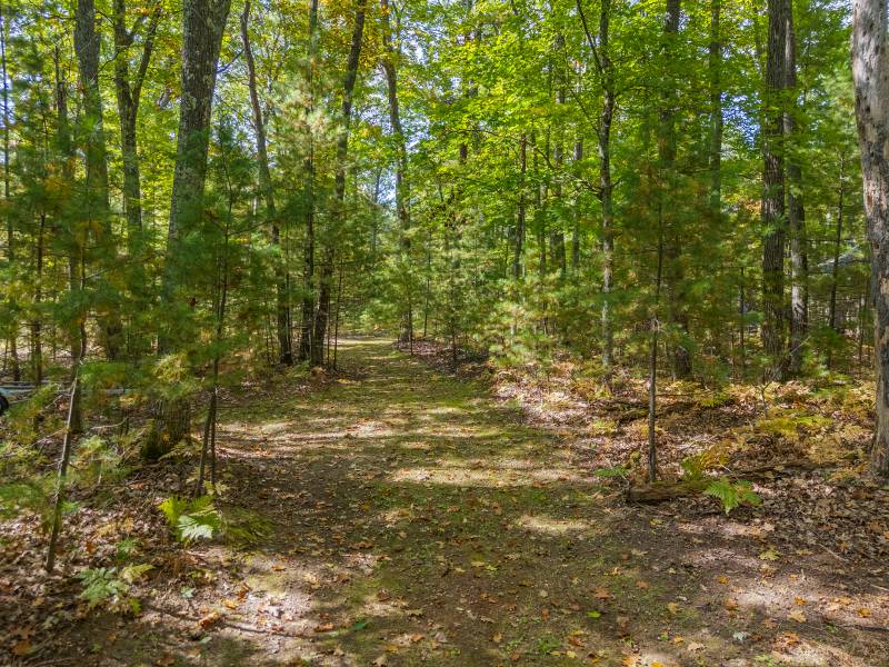 1140 Halberstadt Rd, , St. Germain,  WI 54558 United States