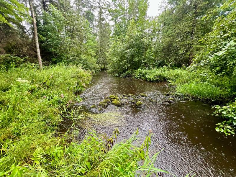 12625 E. Village Rd, , Little Rice,  WI 54564 United States