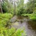 12625 E. Village Rd, , Little Rice,  WI 54564 United States