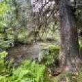 12625 E. Village Rd, , Little Rice,  WI 54564 United States